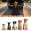 Rampe pour animal de compagnie 71 pouces pour chiens de grande taille, antidérapant, VUS parfaits, camions et lits d'intérieur, pliable pour chien, plateformes surélevées convenables, poids léger stable