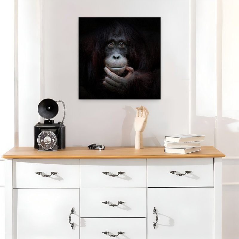 Art contemporain singe contemporain, H 18 po x l 18 po