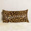 Shirebrook Lumbar Pillow Cover & Insert