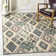 Braswell Performance Ikat Rug