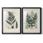 Collection Ferns VI - Cadre photo, reproduction d'art sur papier-1190667019-1190667015