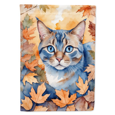 Chat en feuilles d'automne