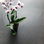 Tarn 30" x 60" Polished Porcelain Metallic Look Floor & Wall Tile (12.05 SQFT / Box)