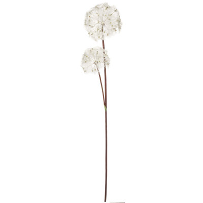 Kanode Dandelion Arrangement