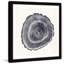 Tree Ring III - Impression de cadre photo sur papier-1323970131