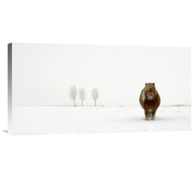 " The Cold Pony " by Gert Van Den
