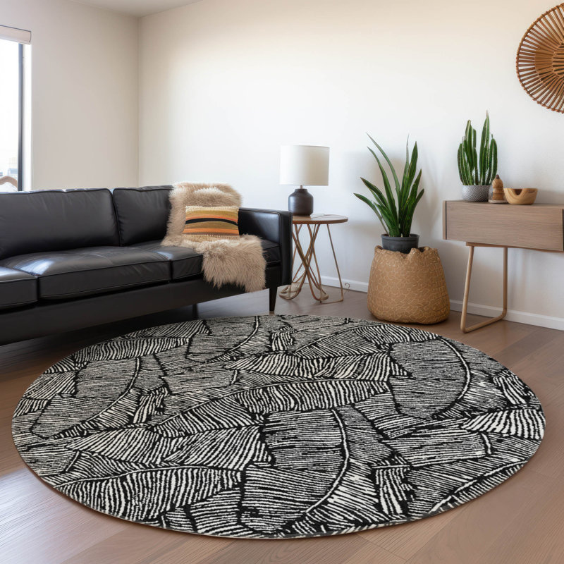 Premium Machine Washable Prisco Black Rug, Round 8'