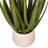 19.5'' Faux Succulent in Pot