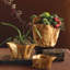 Wood Decorative Bowl