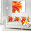Gerbera floral avec oreiller raindrops-30721255-30721251