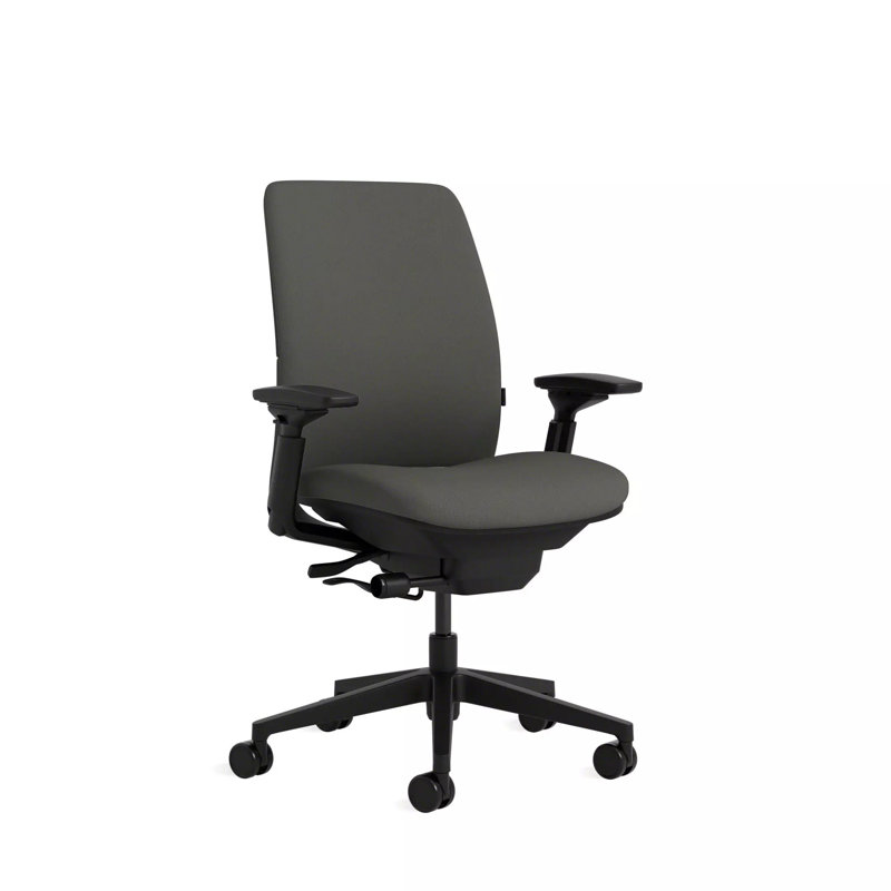 Steelcase Amia Ergonomic Task Chair, Black, Carpet, Night Owl