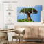 Baobab africain-243312603