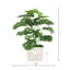 Fausse plante Philodendron en pot 25 po Centerview