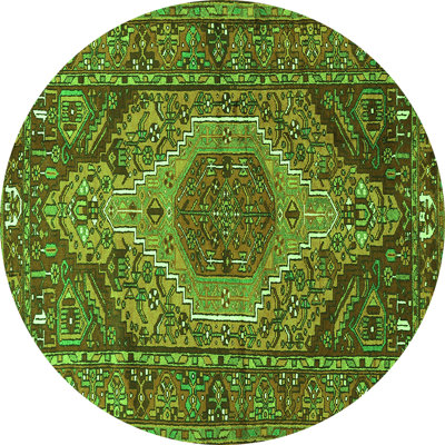 Performance Oriental Indoor Rug