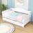 Efthim Twin Size Daybed with Trundle-2009575100