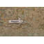Tapis traditionnel discret 8 x 11
