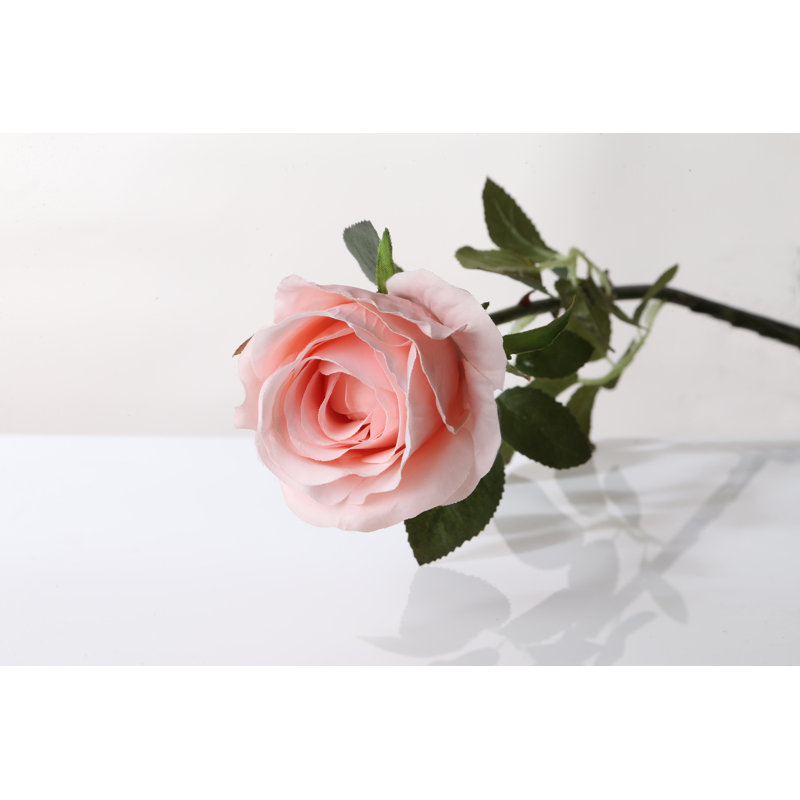 Large bud Rose, Blush Pink