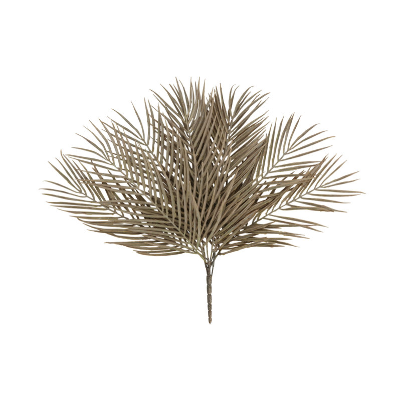 Areca Palm Stem