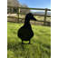 Mercersville Metal Animals Garden Stake-1803514308