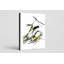 Prothonotary Warbler (Plate 3) - Portrait, art mural sur toile-489345460