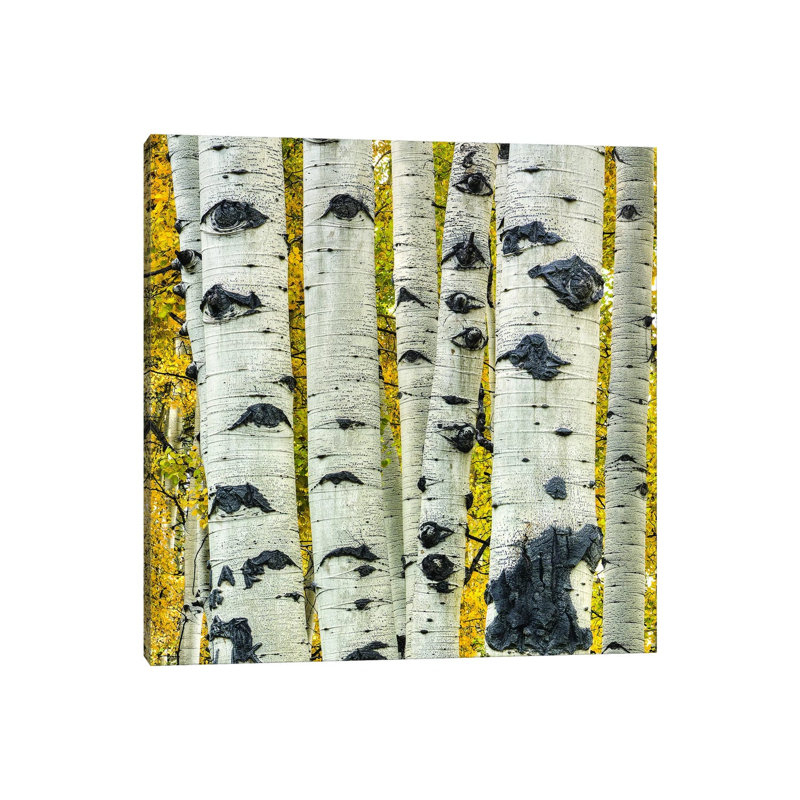 Strength In Numbers by Bill Sherrell - Wrapped Canvas Print, 45.72 cm H x 45.72 cm W x 3.175 cm D