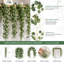 Paquet de 6 guirlandes d'eucalyptus artificiel, 68,9 po
