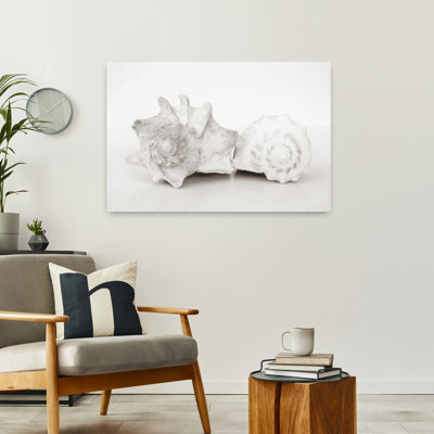 Vintage Conch Shells II Abstract Coastal Art