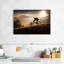 Senne Golden Hour Biking-106821452