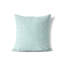 Coussin Criss-107807938