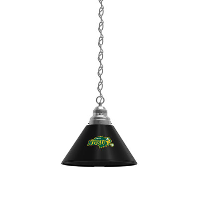 1 - Light Single Pendant