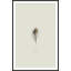 by Studio L57 Nouvelle-2133101231