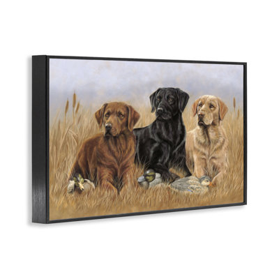 Dog Trio & Ducks Art by Victoria Schultz