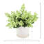 Lilacs Arranged in a Ceramic Pot