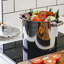 Stainless Steel Stockpot-4393658