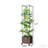 Plant Cage,Raised Garden Bed,Mobile Trellis Plant Bed-1773681198