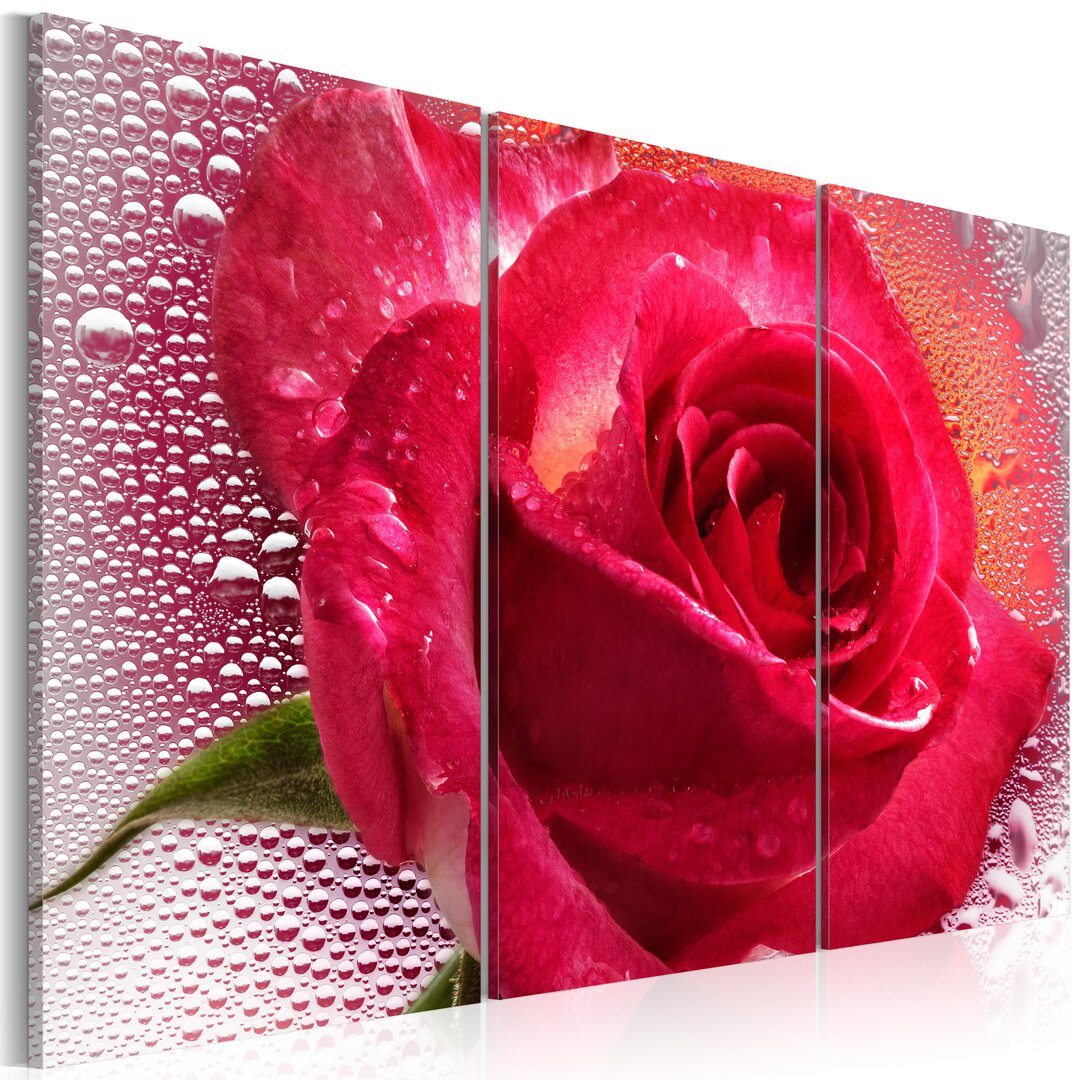 3-tlg. Leinwandbilder-Set Feminine Rose