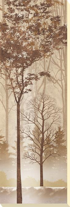 Conrad Knutsen - Print on Canvas