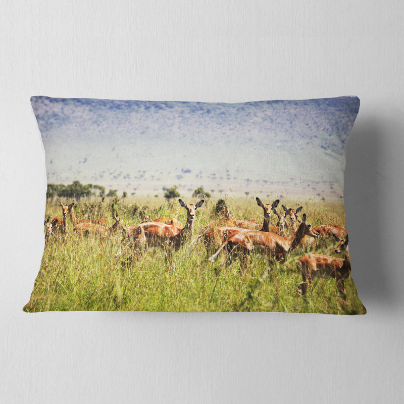 Magnifique antilope dans l'herbe - Coussin décoratif à imprimé paysage