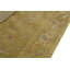 Floral Area Rug in Tan
