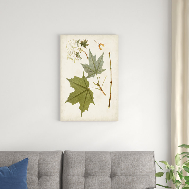 " Antique Leaves VII ", 30" H x 20" W