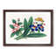 A Butterfly & Flowers - Framed Print-48208824-87665776