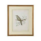 Delicate Birds IV Print