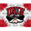 NCAA - Impression sur toile tendue-19833870-19833947