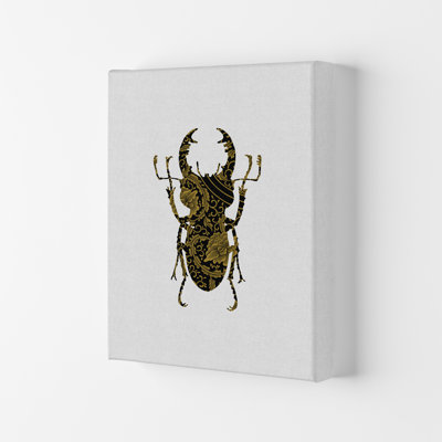 Black And Gold Beetle II - Print