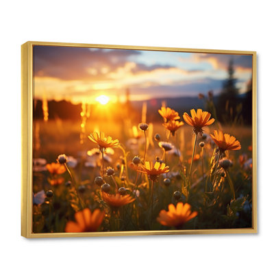 «Yellow Wildflowers Field with Sunset I», reproduction d'art sur toile