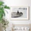 Laughing Seal - Single Picture Frame Print-1242266301-1242266242