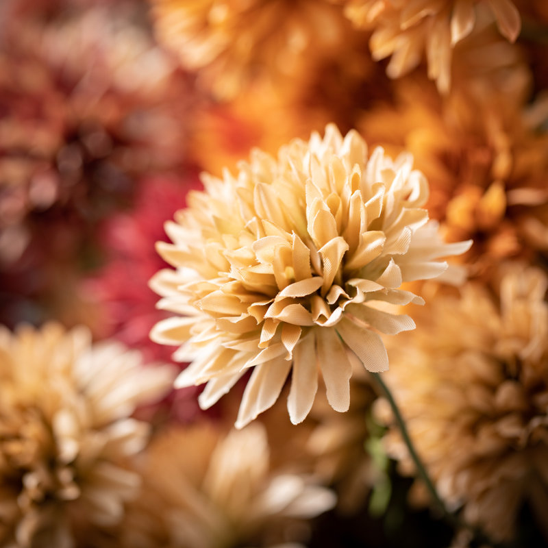 Straw Bush