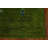 Handmade Green Gabbeh Area Rug 5x8
