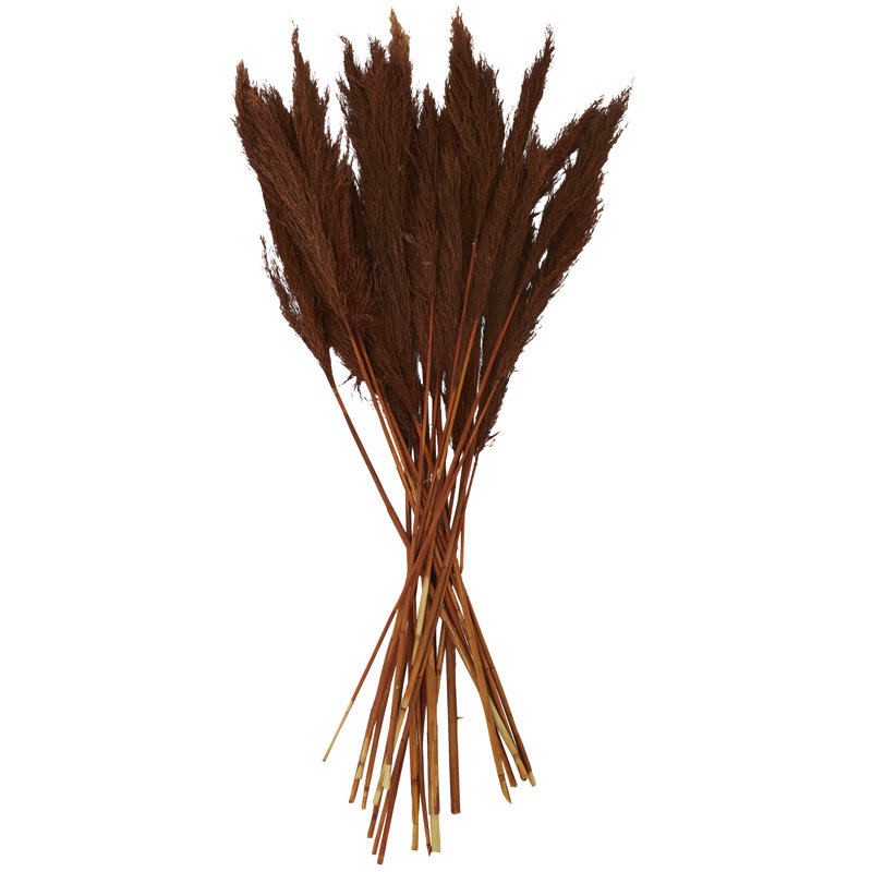 Dried Plant Grass Pampas Decor Natural Foliage with Long Stems, Copper