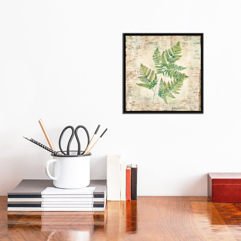«Birch Bark Ferns I», impression sur toile, H 16 po x l 16 po x P 1 po, Papier d'art encadré noir, Blanc